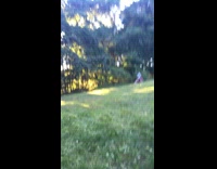 Person falls off of red motorcycle dirt bike grass