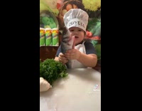 Collab BitchMP - Little chef boy karate chops fish and cilantro 