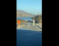 Three people films their dog on road