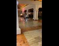 Two women tiktok dance in resort bar