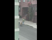 Woman in green checkered coat with handbag on the sidewalk