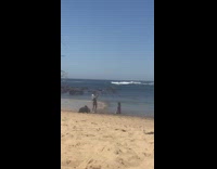 Black bikini girl beach sand palm leaf 