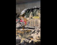 Car covered with peanut butter eggs and flour