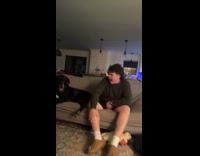 Man annoying dog gets kicked 