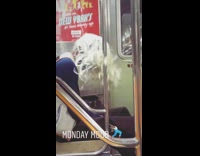 Woman white wig shakes her head and hair on subway train