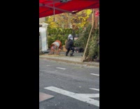 Guy does squats while holding christmas tree