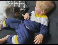 Collab BitchIG2 - Boy and dog play on couch together 