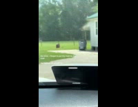 Kids running while dragging trash bin 