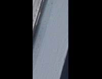 Collab DailyDoseOfInternet - Bug on window screen rubs washes face 