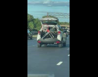 SUV open trunk with basketball hoop highway