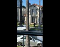 Dog window man formal attire front yard