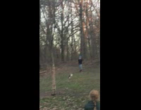 Large falcon bird eats squirrel park grass