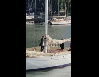 Black jacket guy stands white boat pirate