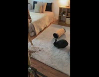 Collab KaleSaladIG - Girl spills her smoothie all over room