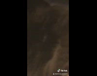 BitchMP - Guy opens mouth small tiktok oh yeah