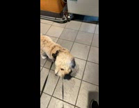 Guy with joker face paint sits at table 