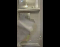 Peeler used on white paint in window glass satisfying