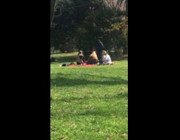 Group sit circle park grass pt. 2