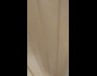 Collab Pets For All - Dog in blue shirt barks behind door gate and gets excited to see woman