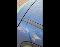 Snail leaves slimy trail around blue car