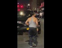 baby front seat black car horn