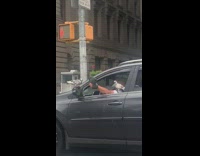 Guy pigeons sit on hand shoulder pt. 2 
