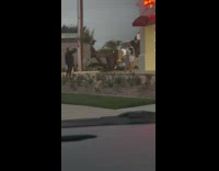 Couple does photoshoot outside in and out burger 