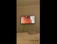 Black white cat tries to capture bird on TV