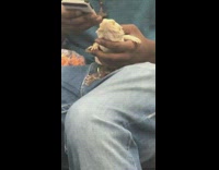 Guy feeds iguana reptile baby carrots pt. 2
