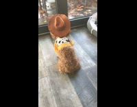 Brown dog woody halloween costume girl laughs