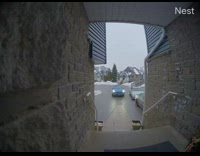 Woman slips stairs car  rolls down driveway