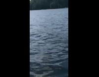 BitchMP - girl sinks kayak