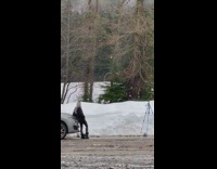Girl beanie lean on grey car snow