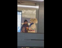 Dog balance on shoulder of woman subway