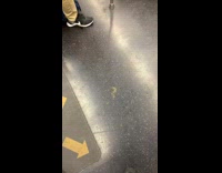 Collab Subway Creatures - Two girls same socks and white crocs