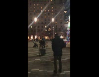 People photograph their dogs by christmas tree 