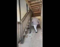 Guy car crash skit takes cat home 