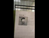 Dog in shelter holding metal bowl in mouth in cage