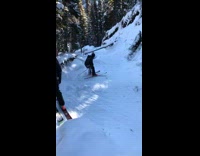Skier jumps over log, hits tree trunk and falls down