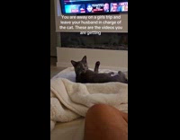 Cat licking itself sound effect