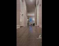 Girl runs down hallway and small dog chases her 