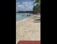 Woman row boat in shallow beach water