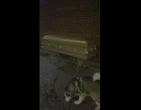 Guy walks and saw brown casket along the street at night 