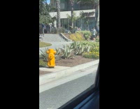 Guy Goes Up and Down Stairs for Shot Repeatedly 