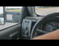 Guy stops car to look at turtle 