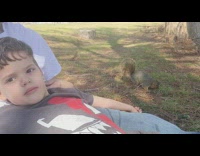 Boy lay on park hand feed squirrel