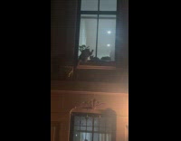 Collab WINY - Cat outside window wipes paw on glass