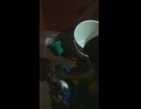 Man shout wipe cat with blue towel