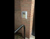 Tiny grey bird gives camera dramatic stare