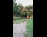 Guy long hair head bang park rap